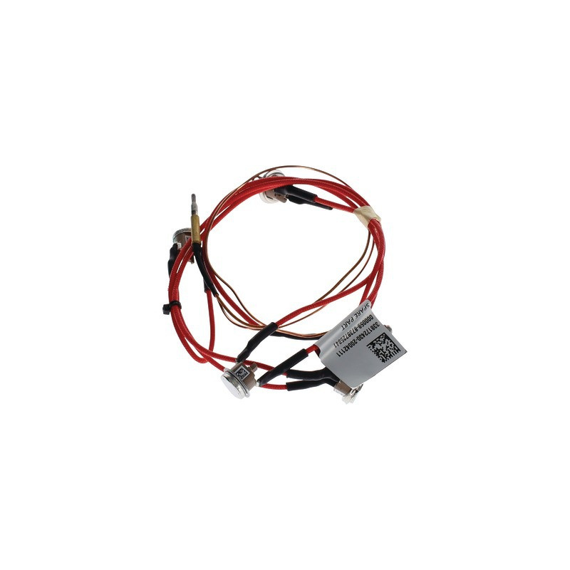 Thermocouple avec limiteurs de températu- ELM LEBLANC - 8738726407