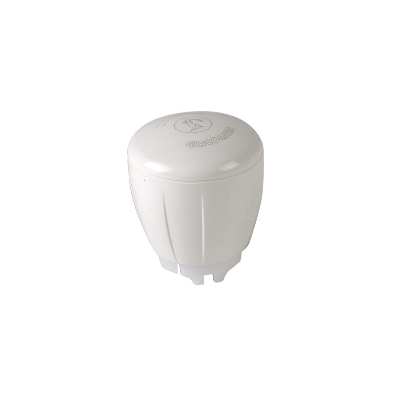 Manual head R450TG- GIACOMINI - R450X012