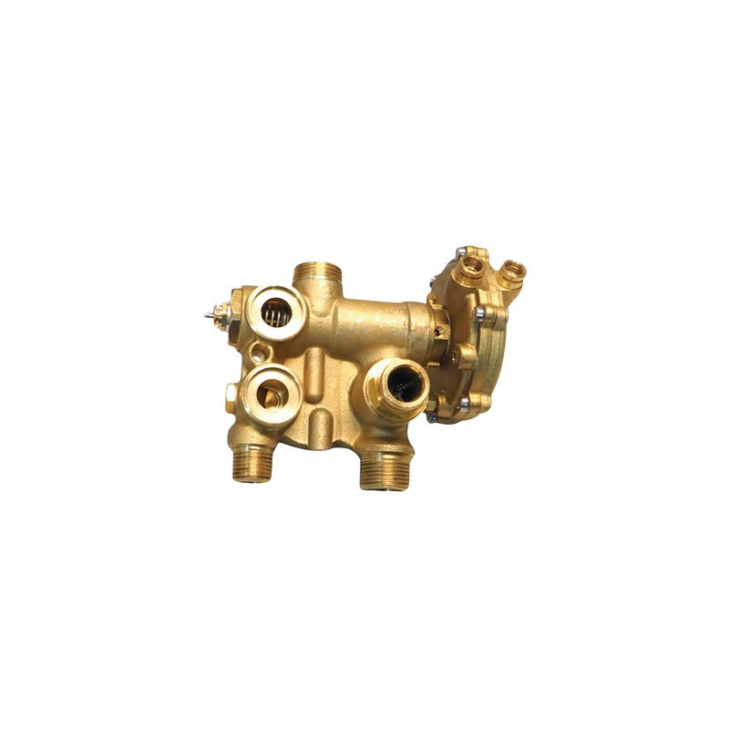 DHW/CH flow group kit (fugas)- BIASI - BI1011503
