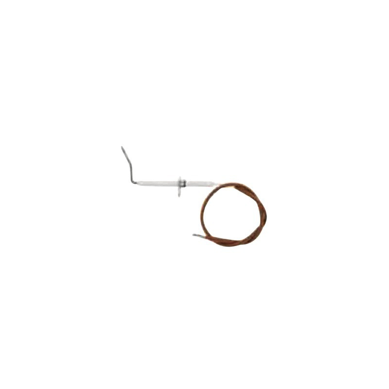 Flame sensing electrode kit m295- BIASI - BI1413106