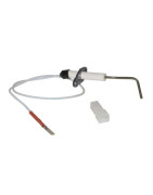Detection electrode- BIASI - BI1503108