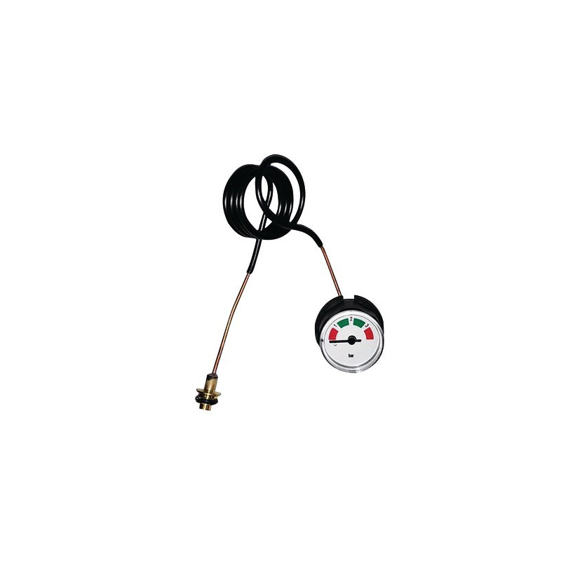Pressure gauge- BIASI - BI2445107