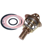 Thermostat- FRISQUET - F3AA40021