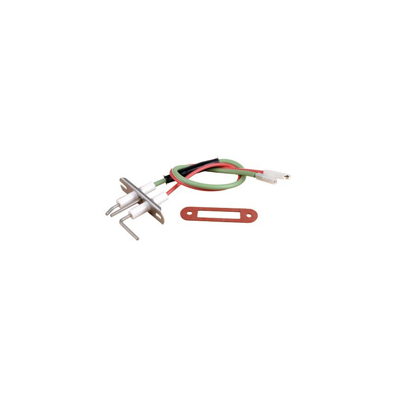 Electrode AL ION R - after 00- FRISQUET - F3AA40552