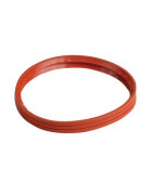 Lip air seal D:100 after 2001- FRISQUET - F3AA40682