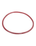 Burner seal BIC post-2000- FRISQUET - F3AA40693