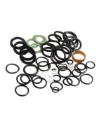 Gasket kit cd post 05- FRISQUET - F3AA40851