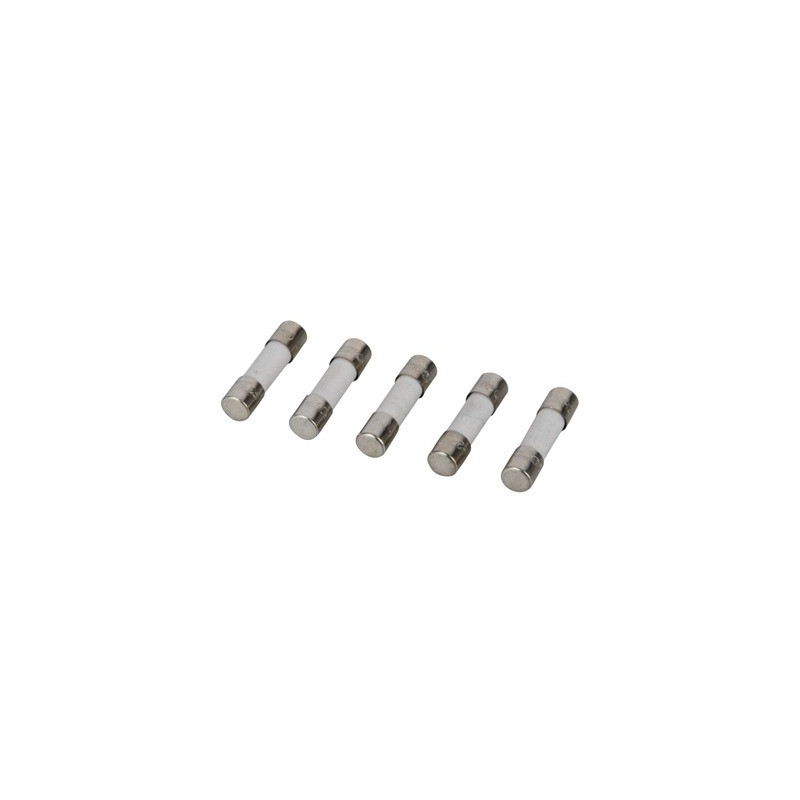 Batch of fuses 3.15a 250v- FRISQUET - F3AA41212  - (X5)