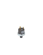 Heater pressure switch- CHAPPEE - JJJ009951690