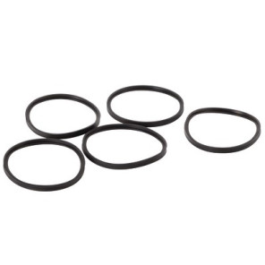 Ring 100mm sealing- DE DIETRICH - S101643  - (X5)