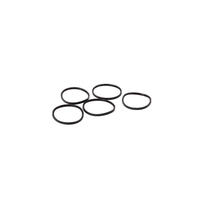 Ring 100mm sealing- DE DIETRICH - S101643  - (X5)