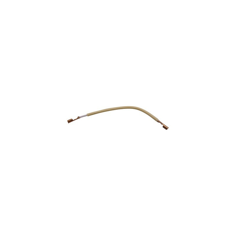 Connexion electrode (x1)- CHAPPEE - S3008794
