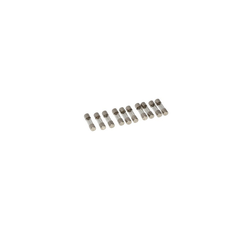 Fuse 2a glass slow blow- DE DIETRICH - S43561  - (X10)