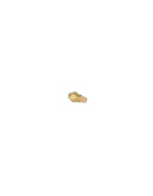 Gicl.delavan 0,50g 60°ct e(bf)- DE DIETRICH CHAPPEE - S50032799