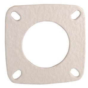 Front plate gasket- CHAPPEE - S58390115