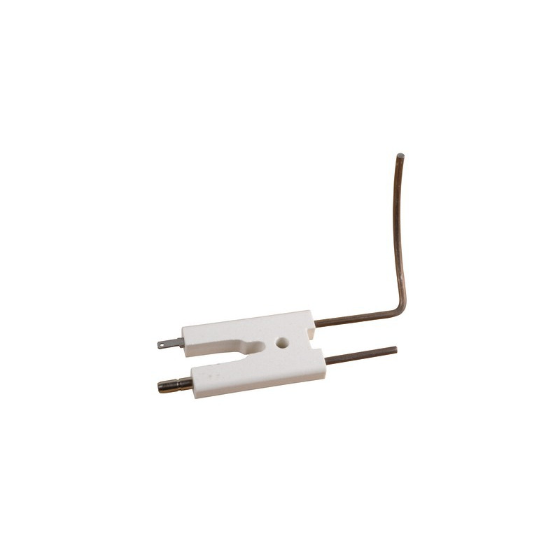 Gas electrode unit- DE DIETRICH CHAPPEE - S58528436