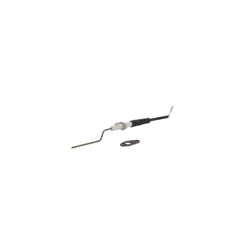 Ionization electrode- CHAPPEE - SRN692366