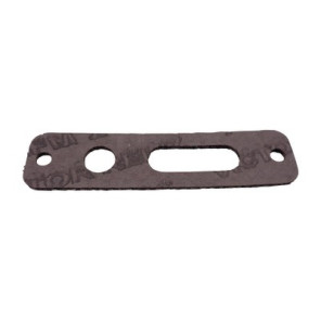 Gasket for Flame sensing electrode- CHAPPEE - SRN986335