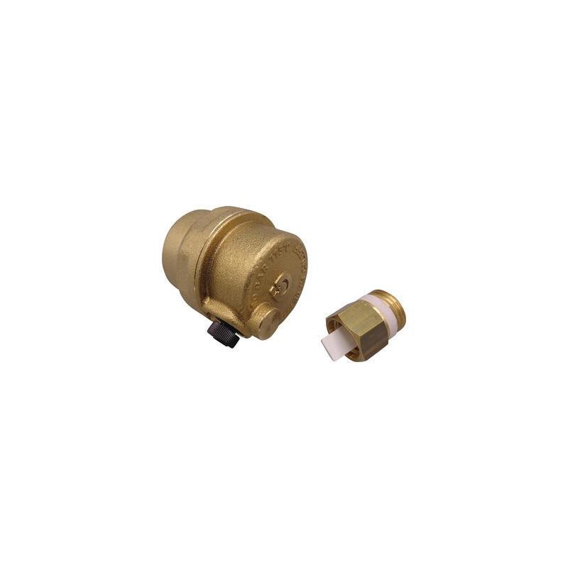 Purgeur avec clapet 3/8- CHAPPEE - V17006193