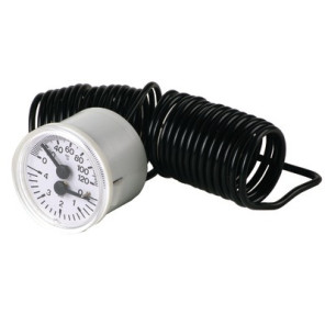 Thermo manometer SGN/K SGE/K- FERROLI - 39814770