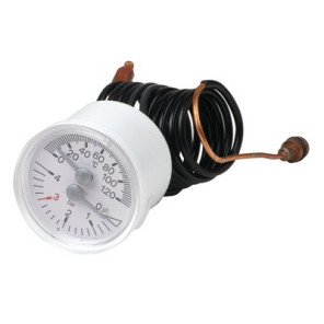 Manothermometer- RIELLO - 4365356