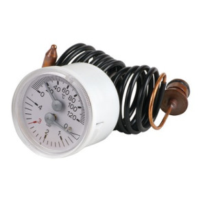 Manothermometer- RIELLO - 4365359