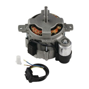 Motor 230v 50hz 110w- GEMINOX - 5883876