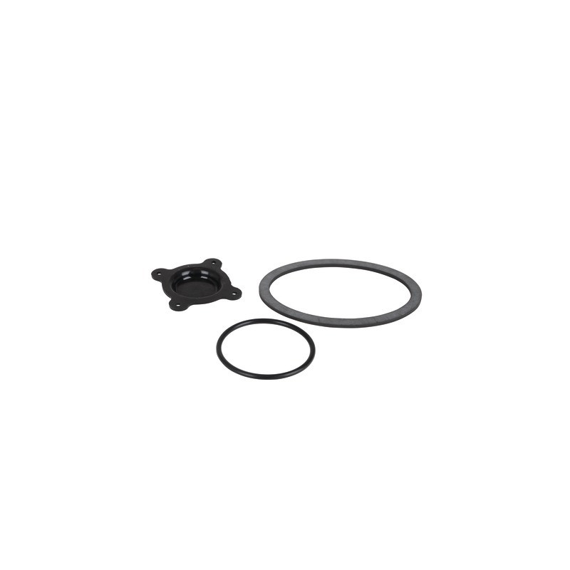Flange gasket- CHAFFOTEAUX - 61317346