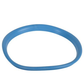 Flange gasket- CHAPPEE - JJJ009950380