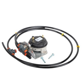 Air check switch- AOSMITH - 0309169(S)