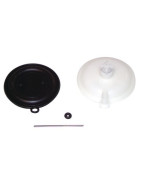 Diaphragm arch- DIFF pour Saunier Duval - 05328600