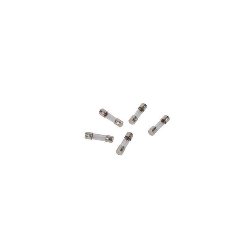Batch of fuses 3.15A 250V- DIFF pour Frisquet - F3AA41212  - (X5)