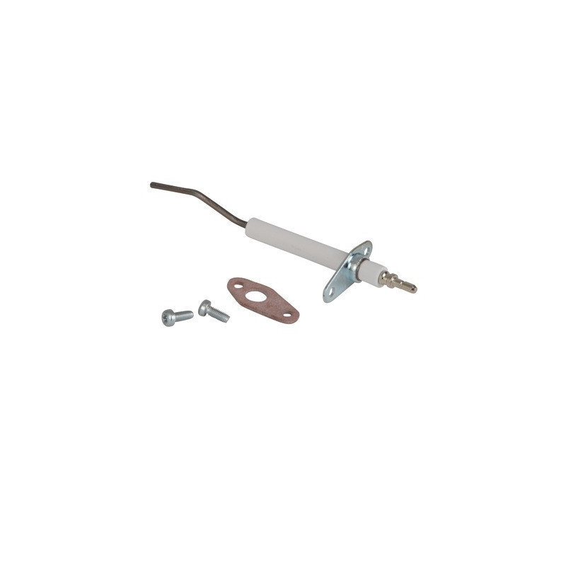 Detection Electrode Unit- COSMOGAS - 62632007