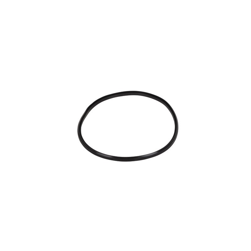 Gasket - lip- BIASI - BI1293108