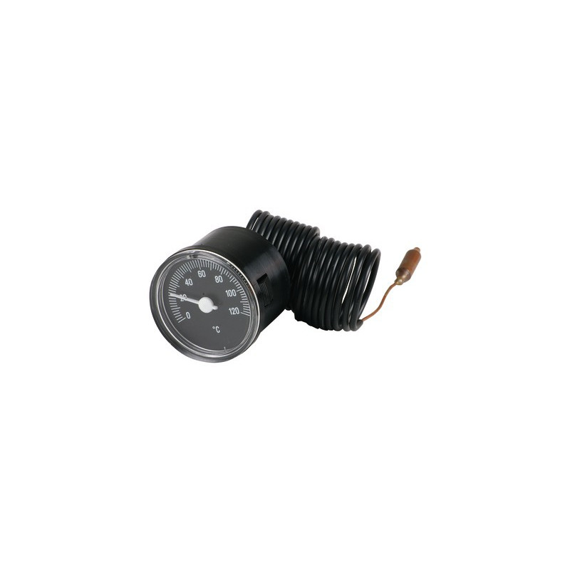 Thermometer- RIELLO - 4035593