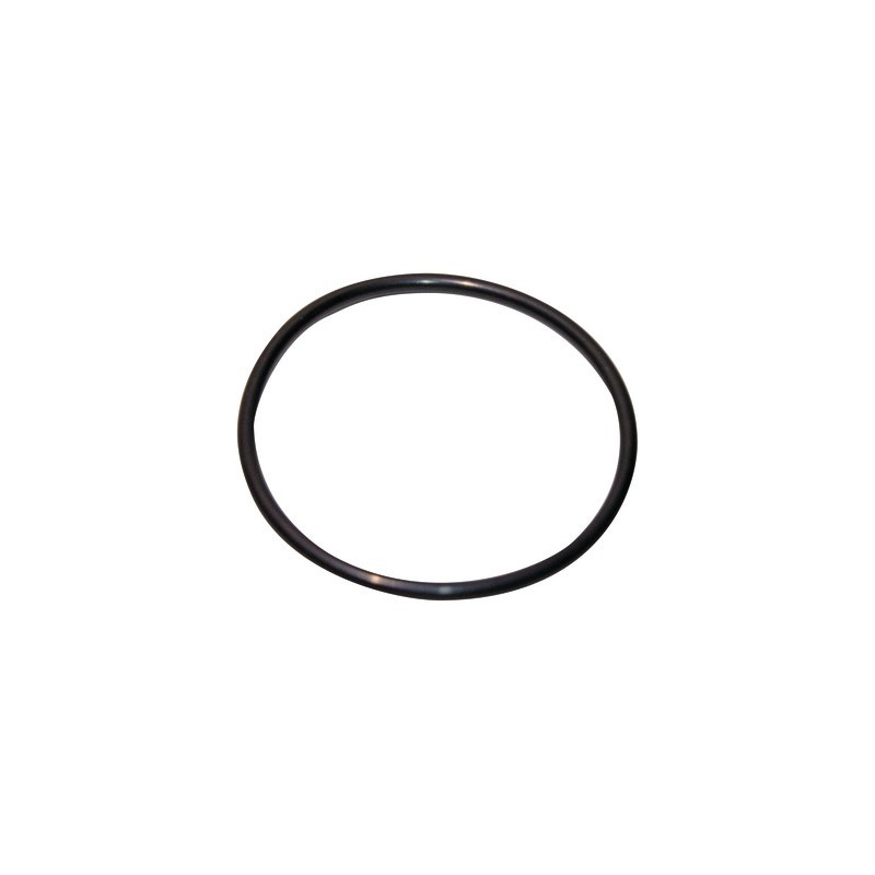 O-ring 120.02x6.99-n- GEMINOX - 87185725380