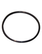 O-ring 120.02x6.99-n- GEMINOX - 87185725380