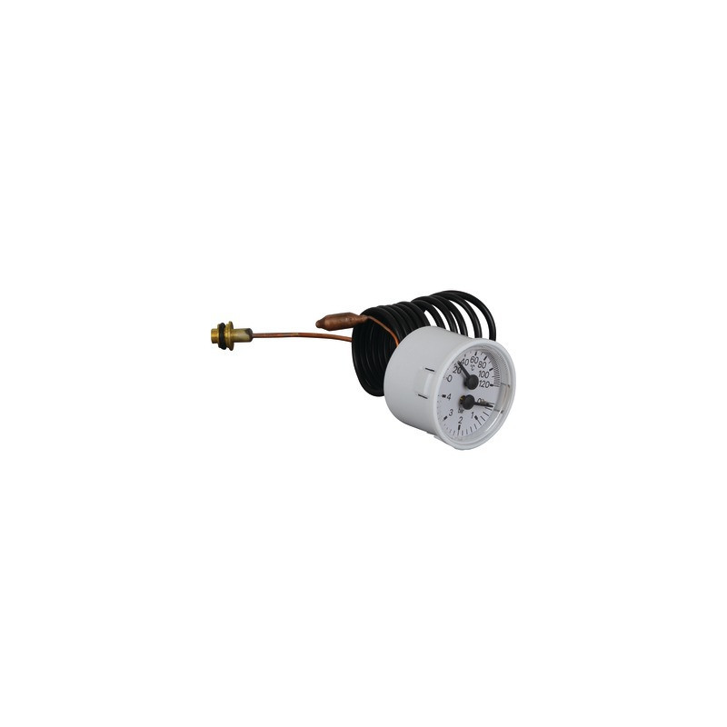 Temperature pressure gauge- BIASI - BI1475108