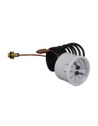 Temperature pressure gauge- BIASI - BI1475108