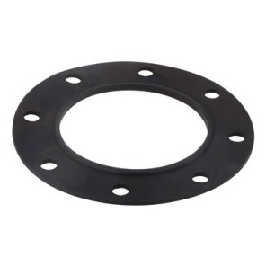 Flange gasket (1.COM01.011)- CHAPPEE - S19000022