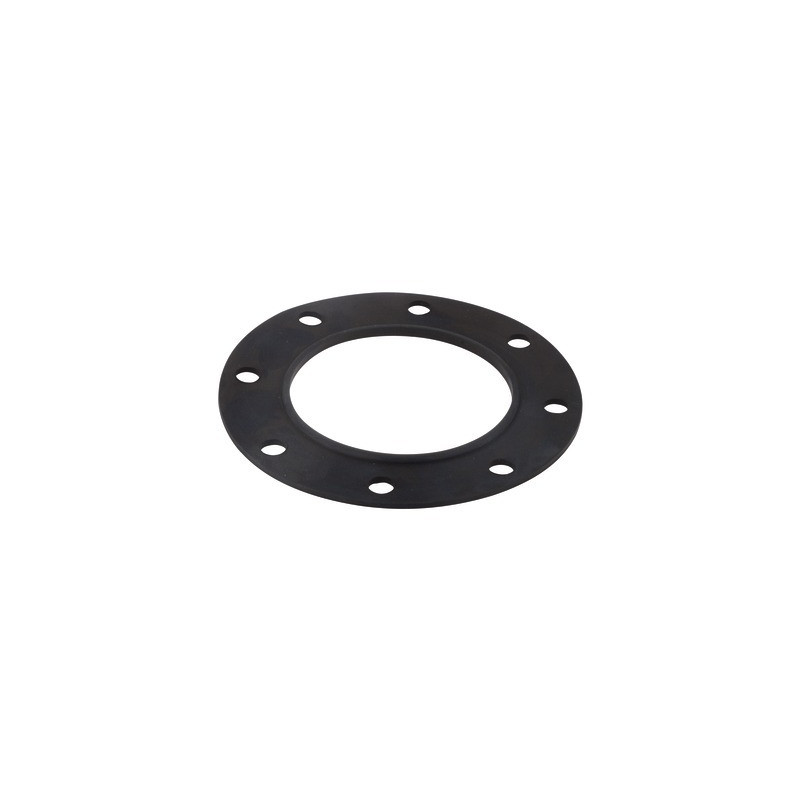 Flange gasket (1.COM01.011)- CHAPPEE - S19000022