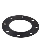 Flange gasket (1.COM01.011)- CHAPPEE - S19000022