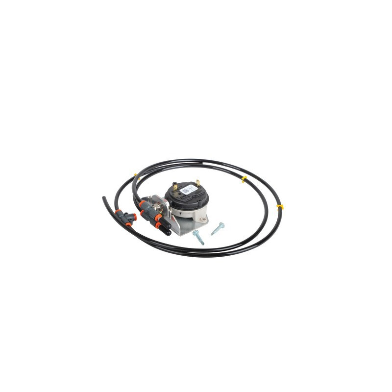 Air check switch- AOSMITH - 0309169(S)