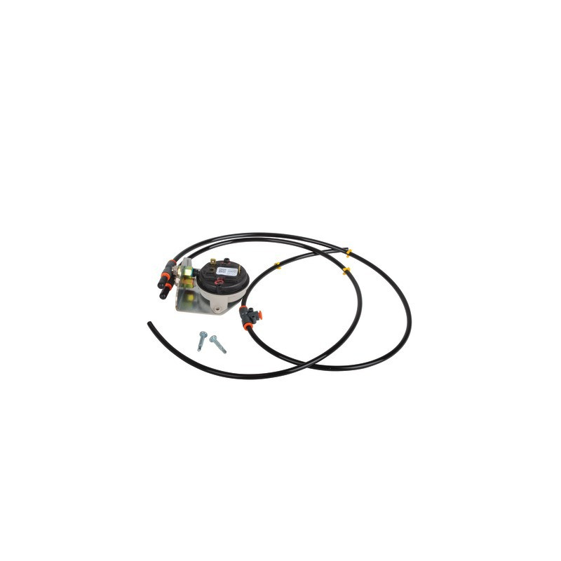 Air check switch- AOSMITH - 0309331(S)