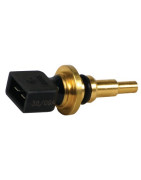 NTC sensor- DIFF pour Chaffoteaux - 61000733