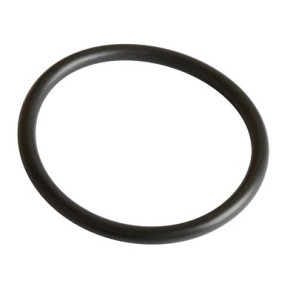 Gasket r36 viton (sensor v97)- FRISQUET - 240134