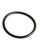 Gasket r36 viton (sensor v97)- FRISQUET - 240134