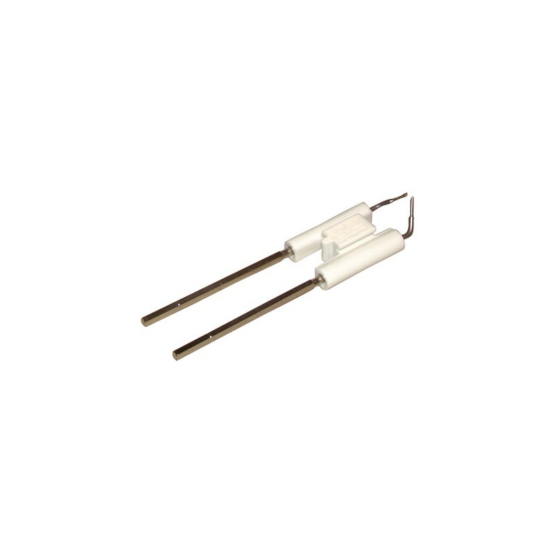 Electrode unit- RIELLO - 3005766
