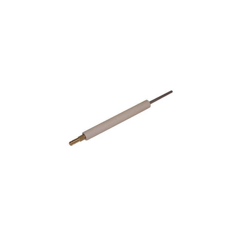 Flame sensing probe BS1- RIELLO - 3007987