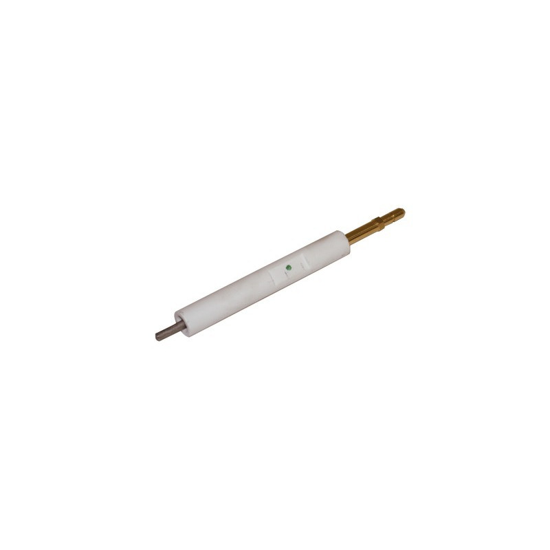 Ignition electrode BS1- RIELLO - 3008930